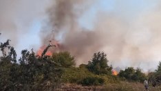 Огънят обгърна село Припек! Спешно се търсят доброволци