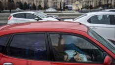 Изтеглят 130 български граждани от Украйна