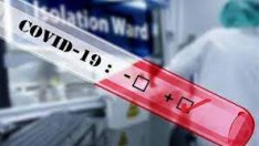 Заразените с COVID се увеличават: 549 са новите случаи, 44 от тях са от Варна