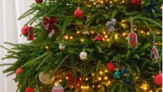 Виц на деня - 15 декември