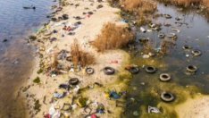 Огромно количество битови отпадъци замърсяват Варненското езеро