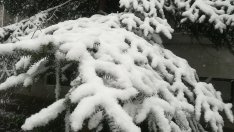 Директорът ПСС обяви кога има предпоставки за лавини в планините