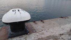 ИАРА: Над 120 кг незаконно уловени миди са засечени в района на Варна