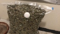 31 души са задържани при акция "Бяло" във Варна 