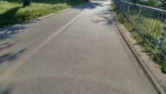 Представиха нова идея за зацветяване на Морската градина