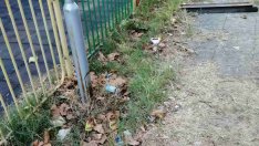 Общината ще извърши независима проверка по случая с удареното от ток дете