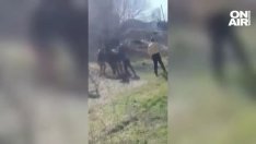 Зверство: Месеци ученици се гаврят с момче, бият го, вземат му парите