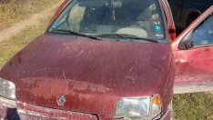 Горски спипа крадци на дърва в крачка в лес до Варна