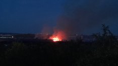 Овладян е пожарът в гората на Каменар