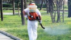 Продължава пръскането против кърлежи и насекоми във Варна