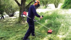 Пролетното косене във Варна върви по график