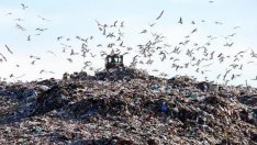 Изграждат нова клетка на регионалното депо за отпадъци във Варна