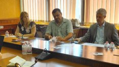 Избират между 24 вида за засаждане на 435 дървета в центъра на Варна