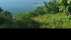 Какво ще бъде времето във вторник?