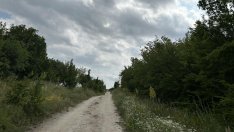 МВР забрани нощния достъп до Шуменското плато заради леопарда