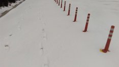 Очакват се обилни снеговалежи след Ивановден