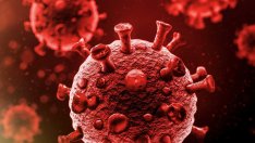 Черният списък на МЗ: 16 души без заболявания са починали от ковид