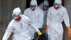 Неутрализирани са всички огнища на шарка по дребните преживни животни