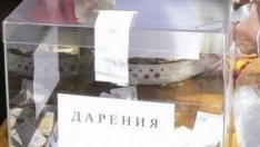 Двойка младежи сви кутия за дарения от магазин във Варна