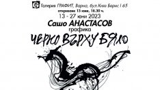Сашо Анастасов реди изложба в галерия "Графит"