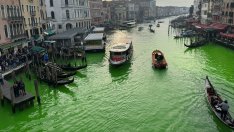 Екоактивисти оцветиха в зелено водата в Канале гранде във Венеция