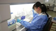 9 месеца – точно толкова остават антителата в тялото след прекаран коронавирус