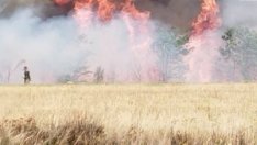 МВР предупреждава за опасност от пожари