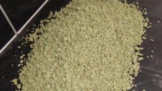 Съдят варненски младеж, спипан с близо кило трева