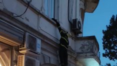 Варненски пожарникари спасиха котка от фасадата на сграда в центъра на Варна