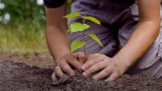 Засадиха билки и цветя в "Чайка"