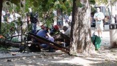 Как e пострадалият от паднал клон във Варна (СНИМКИ/ВИДЕО)