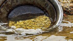 Треска за злато: По половин грам на ден вадят златотърсачи от Искър  