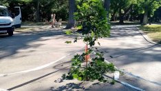 Запълват аварийно пропадане в Морската градина на Варна