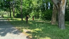 Продължава обработката срещу кърлежи на терени от обществено значение във Варна