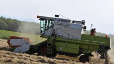 Комбайн затисна и уби жена край Добрич