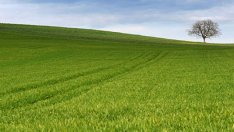 Падна забраната чужденци да купуват ниви у нас 