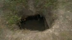 Мистериозни дупки се появиха в Морската градина на Варна