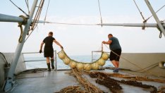 Варненски рибари отказват да влизат в морето заради украинските мини