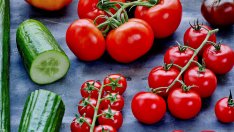 Оранжерии спират масово работа заради скъпия ток и газ