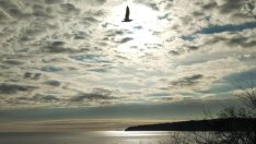 Топла неделя по морето