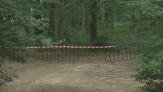 Продължава преследването на голямата котка от Шумен