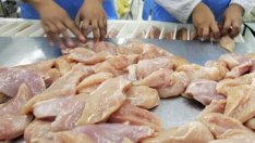 Птицевъди: Пилешко от Полша ни убива