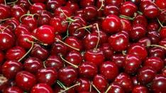 В Бургас черешите подгониха цената на калкана