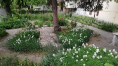 Район "Одесос" зове жителите да се включат в Световния ден на почистването