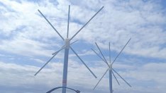 Устройства от нов тип пазят птиците от жиците край Варна