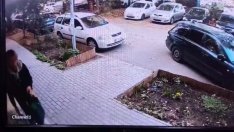 Зор! Жена остана без тоалетна хартия, издирва крадлата с постове в социалките