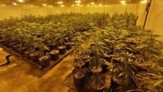 Разкриха високотехнологична наркооранжерия край Варна (СНИМКИ)