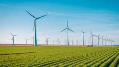 Съдът във Варна прекрати 5 дела срещу спирането на ветрогенераторите в Аврен