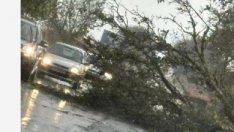 Буря затвори пътя Суворово - Девня