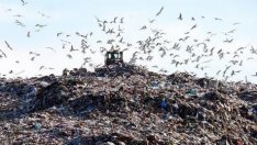 Два камиона боклук на ден може да депонира Варна във Въглен